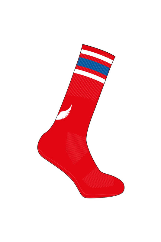 American International School of Jeddah Adult Unisex Soccer Home Socks image 0