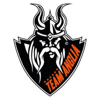 Team Anglia Masters logo