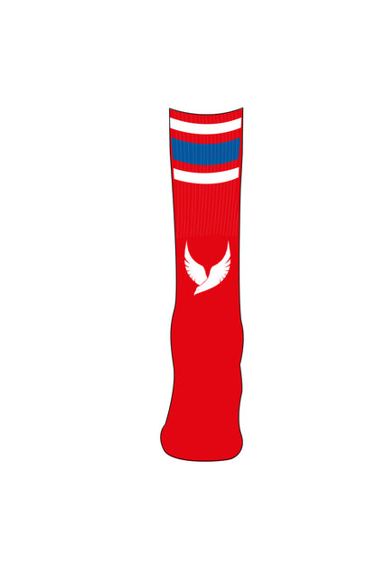 American International School of Jeddah Adult Unisex Soccer Home Socks image 1