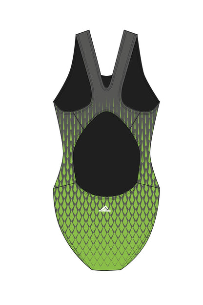 Whitmore Bay SLSC Adult Female Broadstrap Swimsuit image 1